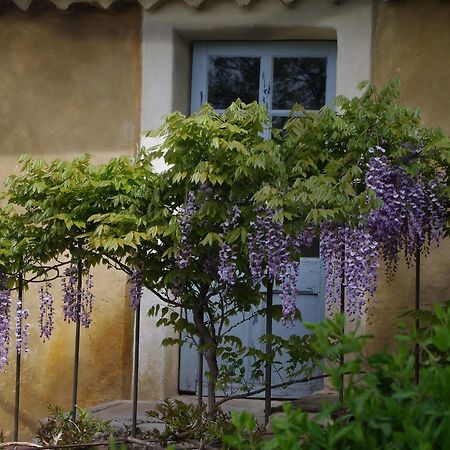 Chambre D'Hotes Au Coquin De Sort Vaison-la-Romaine Buitenkant foto